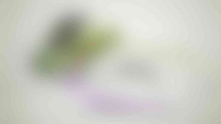 photo_08_v01