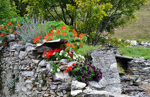 http://www.nkservice.eu/wp-content/uploads/2016/04/DSC_0144.jpg